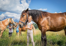 Reiten am Eggerhof