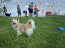 Hundestrand am Camping Sonnenland