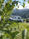 Urlaub am Seecamping Kölbl