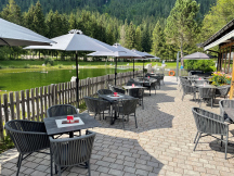 Camping Steinplatte 